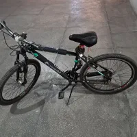 دوچرخه ویوا تایوانی ۲۶