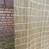 حصیر بافی  آقچلی|صنایع دستی و سایر لوازم تزئینی|گنبد کاووس, |دیوار