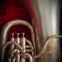 توبا باس|سازهای بادی|شیراز, ملاصدرا|دیوار