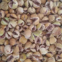 انجیر تازه وامسالی استهبان انجیر ۱۰۱.