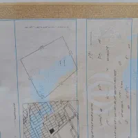 زمین-حیاط