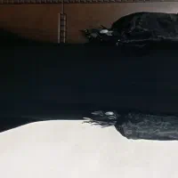 فروش لباس مجلسی