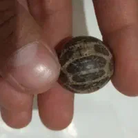 مهره قدمتی ارزشمند و بینظیر