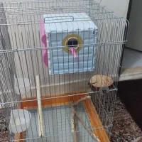 قفس پرنده با لونه