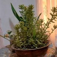 گلدان تزئینی