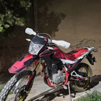 تریل برمودا