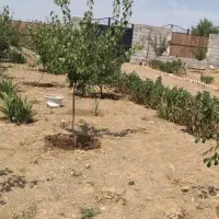 باغ ۵۰۰متری مرند روستای ارلان|فروش خانه و ویلا|کشکسرای, |دیوار