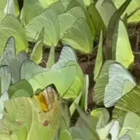 انجام امور خدماتی و نطافت