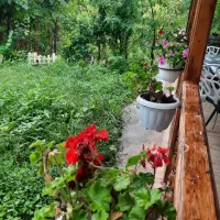 کلبه سنتی نغمه|اجارهٔ کوتاه‌مدت ویلا و باغ|صومعه‌سرا, |دیوار