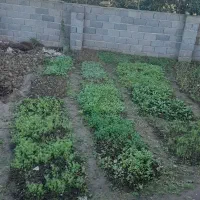 ویلایی-دوبلکس-3خوابه-شلمان