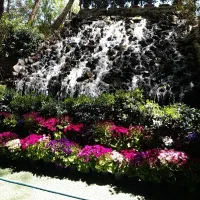 باغ رستوران