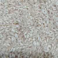 برنج|خوردنی و آشامیدنی|مشگین شهر, |دیوار