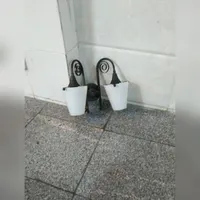 لوستر