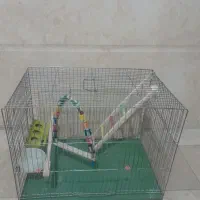 قفس پرنده