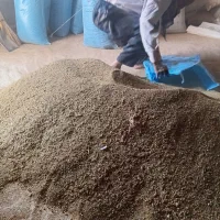 تخم یونجه|خدمات باغبانی و درختکاری|قم, آزادگان|دیوار