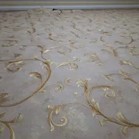 داوطلبانه راهنمایی نظافت