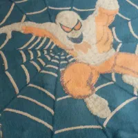 فرش کارکرده بچگانه|فرش|اصفهان, ناژوان|دیوار