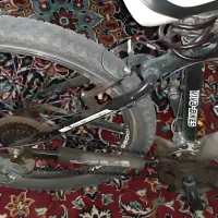 دوچرخه ویوا ورتکس