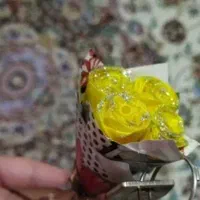 golkadeـshaghaiegh|گل مصنوعی|رشت, پل تالشان|دیوار