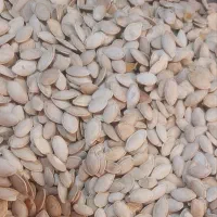 تخم کدو اجیلی امسالی تازه دانه درشت