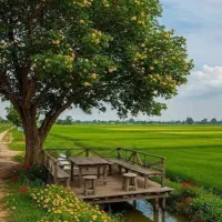 راهنمایی کنید