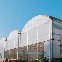 استخدام در گلخانه