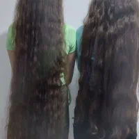 خریدار اصلی