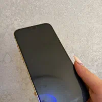 iphone 12 poromax256ZAA|موبایل|شیراز, زرهی|دیوار