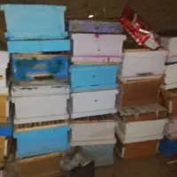 کندو و طبق زنبور عسل با پوکه