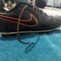 کفش چمنی تمپو