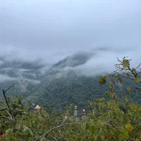 زمین-آماده-ساخت-در-دوهزار-مازندران