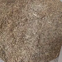 کرابیه بوجدار تمیز امسالی