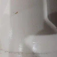 پنکه 85|پنکه و تصفیه‌کنندهٔ هوا|بندر امام خمینی, |دیوار