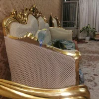 طوطی کوتوله جفت|پرنده|مشهد, محمدآباد|دیوار