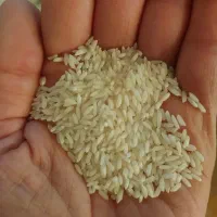 حراج حراج|حراج|سنندج, |دیوار