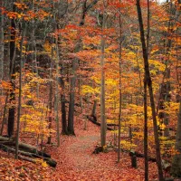 تدریس خصوصی