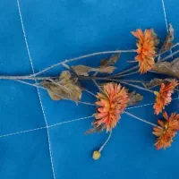 گل وگلدان|گل مصنوعی|مهاباد (آذربایجان غربی), |دیوار