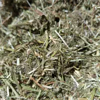 یونجه اعلا
