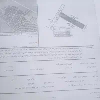 زمین ۱۴۰ متری در فریزی