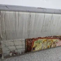 دار قالی|فرش|اهواز, کیان اباد|دیوار