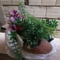 آکواریم با کلیه لوازم|ماهی|رشت, شهرک شهید مفتح|دیوار