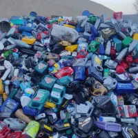 سفید و رنگی و پت