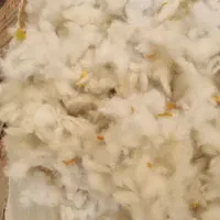 ده عدد کوسن جنس مخمل مبل مناسب مسافرت ۱۲۰۰،۰۰۰|رختخواب، بالش، پتو|بهمن, |دیوار