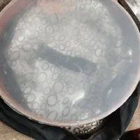 دایره طلقی