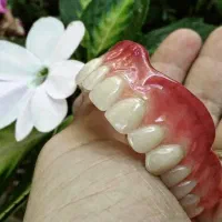 ساخت دندان متحرک|خدمات آرایشگری و زیبایی|شوش, |دیوار