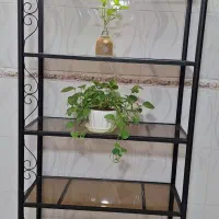 جا دکوری فرفوژه|صنایع دستی و سایر لوازم تزئینی|قم, باغ کرباسی|دیوار