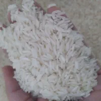 برنج هاشمی عالی