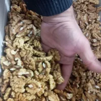 مغز گردو اعلاء