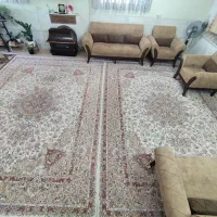 دو عدد قالی ۱۲ متری