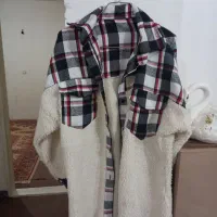 کت تدی